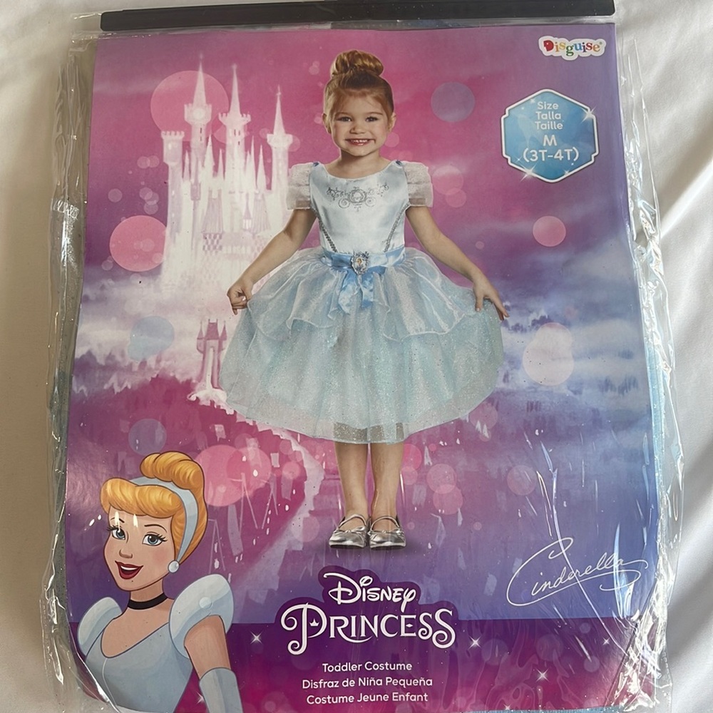 Disney Cinderella Princess Halloween Costume